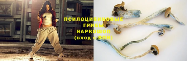 винт Аркадак