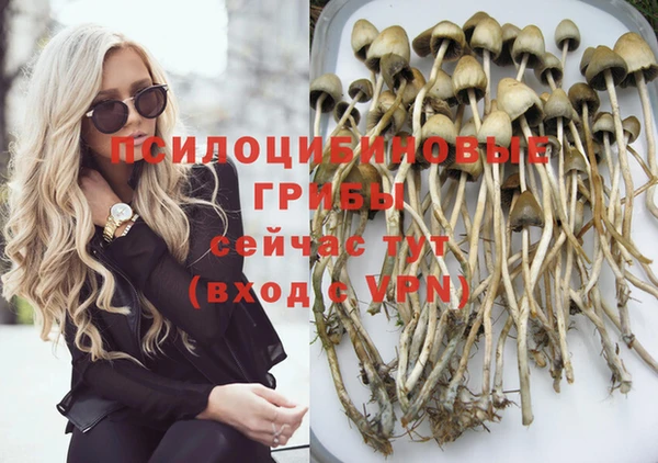 дурь Арсеньев